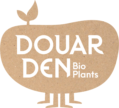 Douar Den